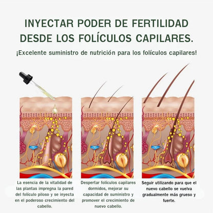 Aceite Esencial de Biotina y Jengibre Anticaída